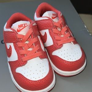 Toddler Nike Dunks